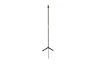 Mid-Century Italian Black and Brass Floor Lamp