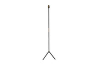 Mid-Century Italian Black and Brass Floor Lamp