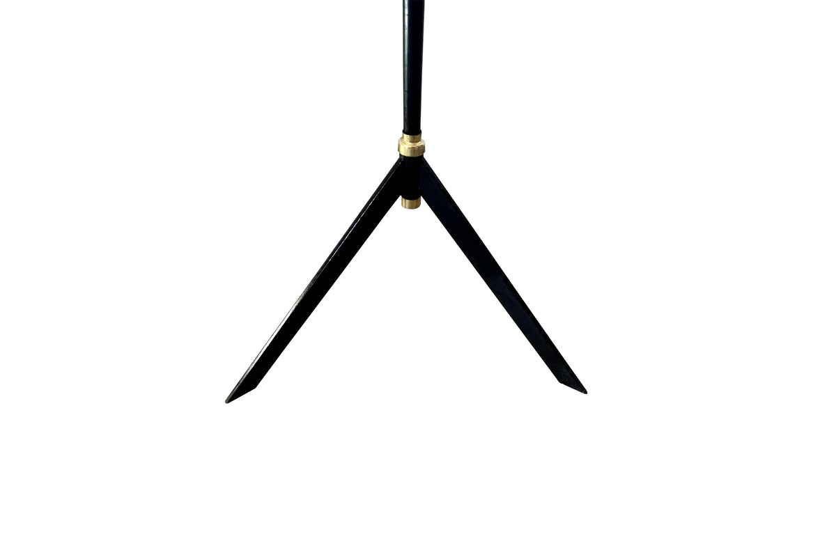 Mid-Century Italian Black and Brass Floor Lamp