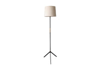 Mid-Century Italian Black and Brass Floor Lamp