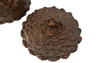 Antique Art Populaire wooden lidded jar covered in pine come flowers. French antiques.