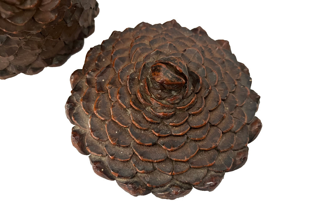 Antique Art Populaire wooden lidded jar covered in pine come flowers. French antiques.