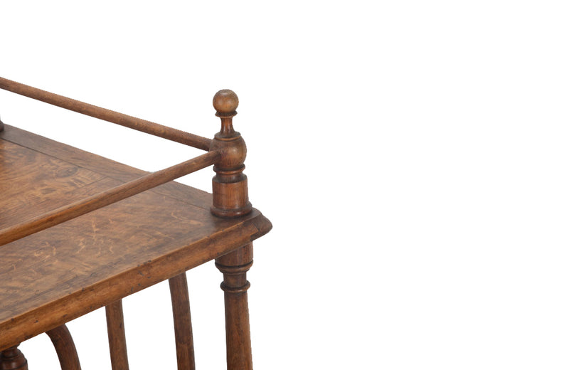 Rotating bentwood bookcase circa 1900