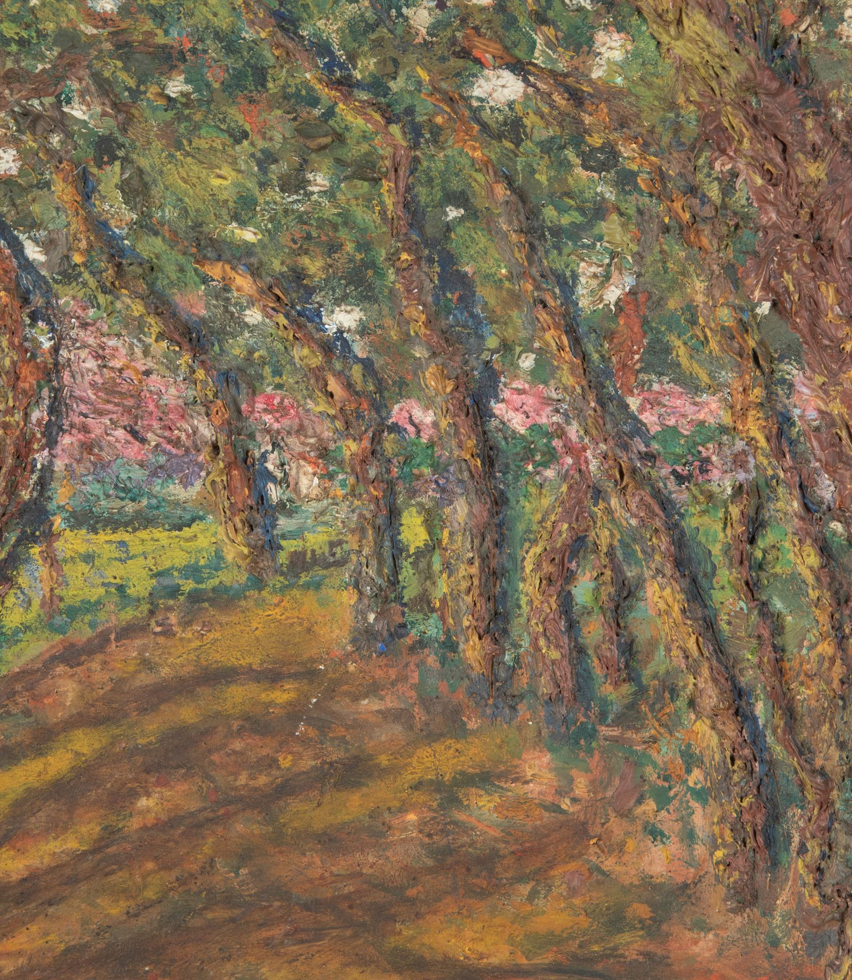 Oil on card painting of a shady forest path with pink blossoming trees signed by the artist to the lower right, Cohen