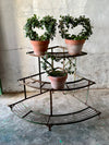 Vintage, painted, iron, corner plant stand with three tiers