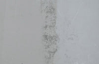 Large 19th Century French oak mirror with a beautifully deep carved oak acanthus motif frame.