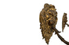 Pair of 19th Century Bronze Lions Head Wall Lights