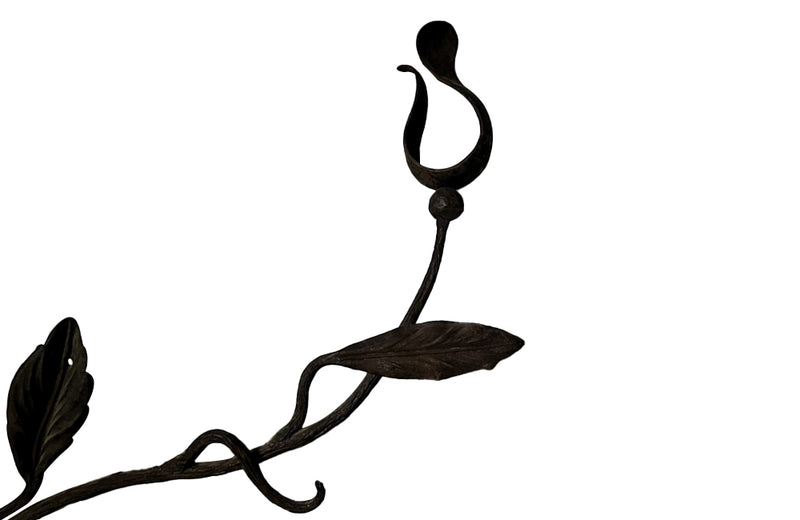 Beautiful pair of early 20th century French large hand wrought iron wall decorations with floral and foliate ornamentation, each in the form of a branching flowering plant.