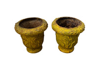 Pair of charming early 20th century French small cast iron urns decorated with daisies and leaves