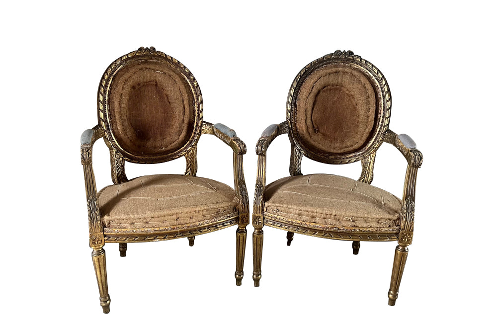 Elegant 19th century pair giltwood carved open armchairs in the Louis XVI style.