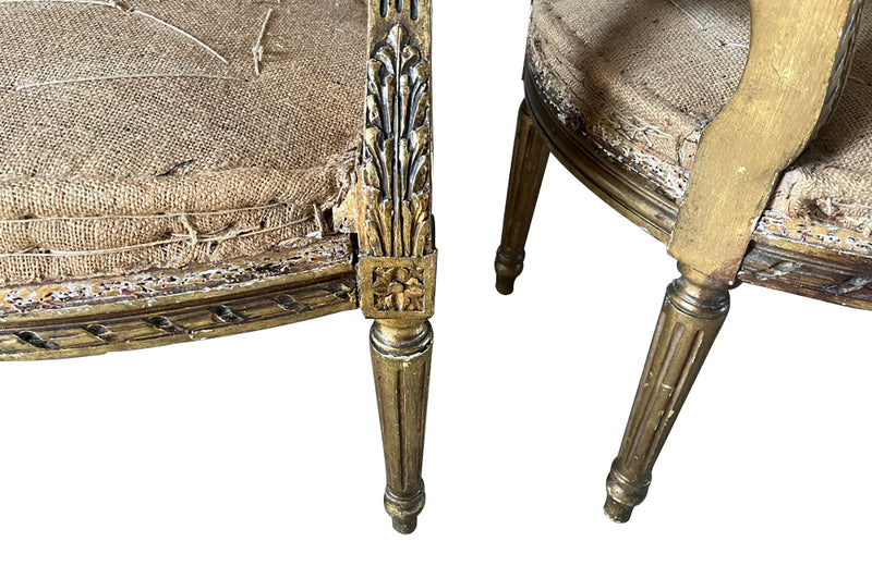 Elegant 19th century pair giltwood carved open armchairs in the Louis XVI style.