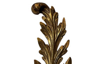 Pair of Early 20th Century Italian Giltwood Feather Plume Wall Lights