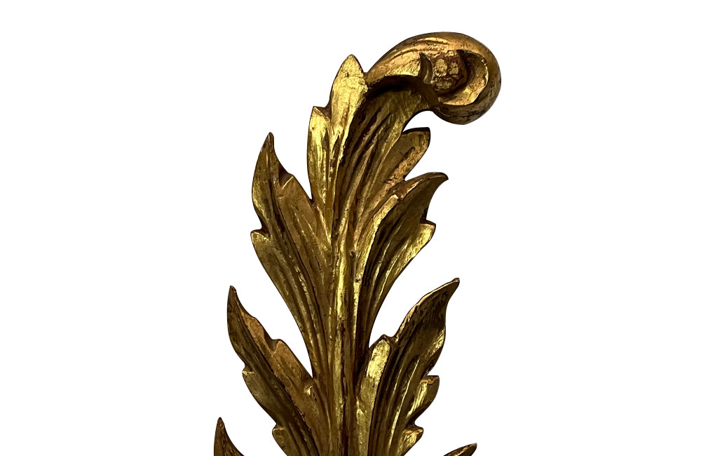 Pair of Early 20th Century Italian Giltwood Feather Plume Wall Lights