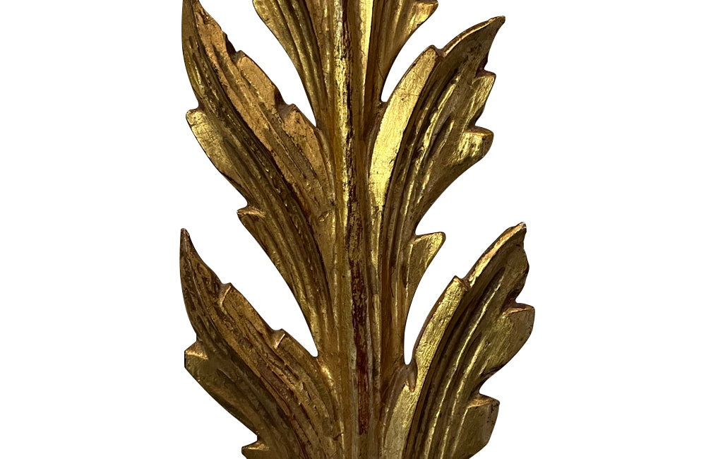 Pair of Early 20th Century Italian Giltwood Feather Plume Wall Lights