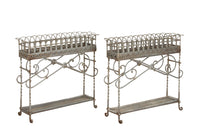 Antique plant stands orangery iron plant stands. French jardiniers 19th century - Garden antiques