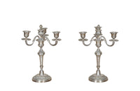 Pair of late 19th Century French candelabras in the Neo-Classical style