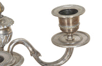 Pair of late 19th Century French candelabras in the Neo-Classical style