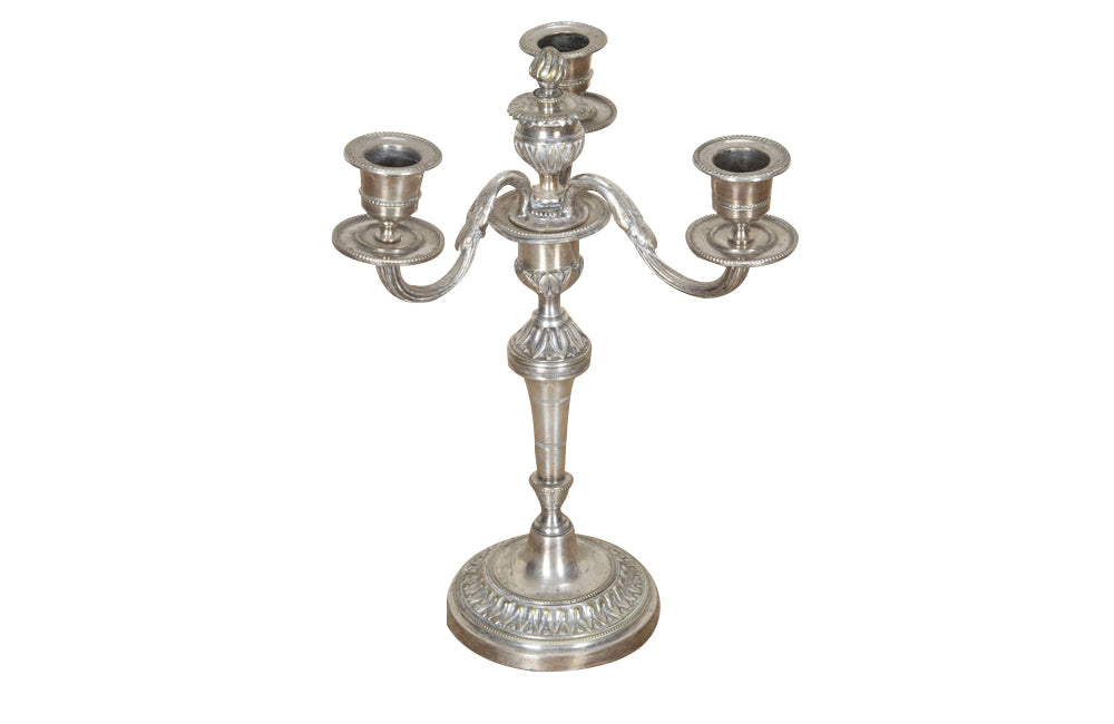 Pair of late 19th Century French candelabras in the Neo-Classical style