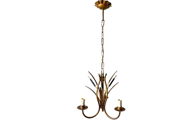 Charming little Hollywood Regency style, gilt metal, bulrush chandelier with black flower spikes.