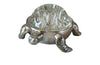  Mid 20th century silverplate turtle ringed holder with glass 9 hole flower holder. 