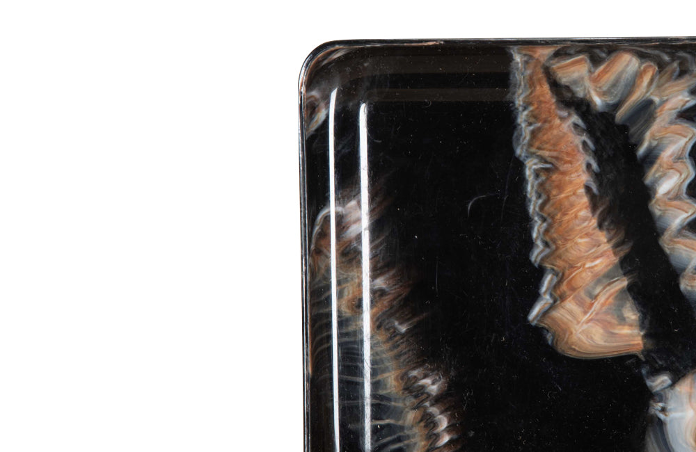 Small Mid-Century Italian Lucite Tray