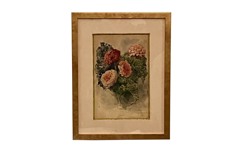 Pretty 19th Century French watercolour painting of zinnia flowers.
