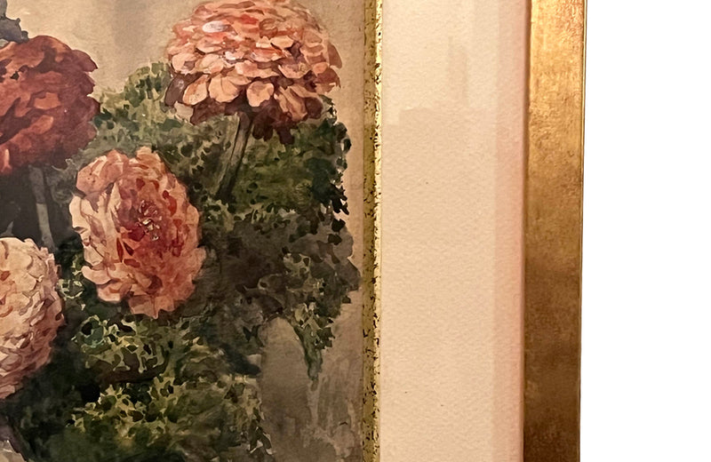 Pretty 19th Century French watercolour painting of zinnia flowers.