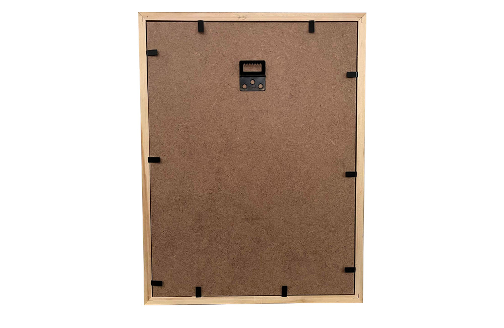 Pretty 19th Century French watercolour painting of zinnia flowers.