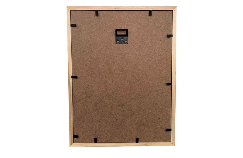 Pretty 19th Century French watercolour painting of zinnia flowers.