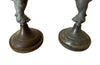 Charming pair of French mounted zinc cockerel table lamps. First half of the 20th Century,