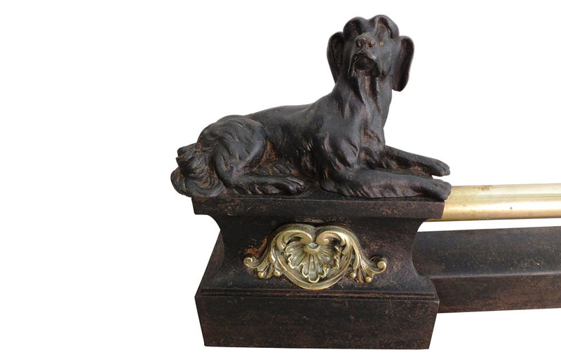 ELEGANT 19TH CENTURY FIREPLACE FENDER
