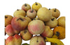 COLLECTION OF MINIATURE MARBLE FRUIT