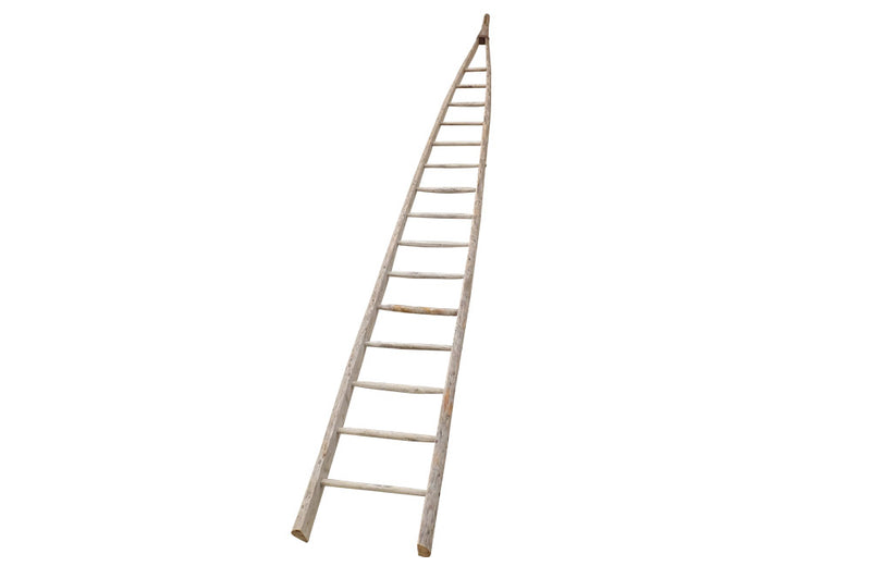 TALL FRENCH ORCHARD LADDER