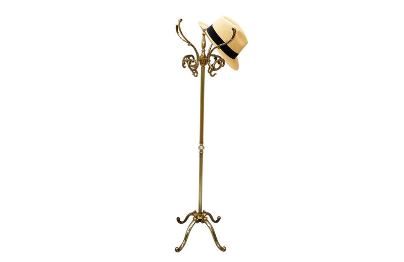 SMALL SHOP BRASS PORTMANTEAU