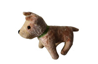 SMALL FRENCH TOY DOG