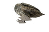 Decorative Goose Centrepiece - Decorative Accessories - Silverplate Goose - Table Vase - Centrepiece - Mid Century Accessories - Unique Accessories - Decorative Accessories - Gift Ideas - Antique Shops Tetbury - Animalia - AD & PS Antiques 