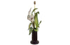 ARUM LILY TABLE LAMP