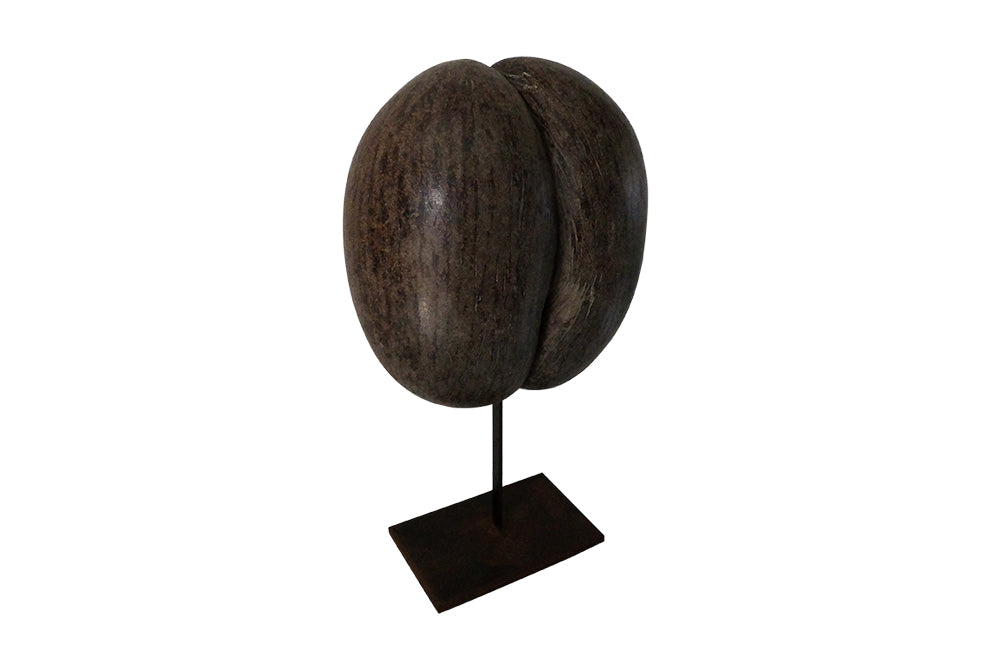 Coco de Mer - Decorative Accessories - Mounted Coco de Mer Sculpture - Curiosities - Antique Shops Tetbury - AD & PS Antiques