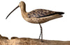 FRENCH SHORE BIRD DECOY