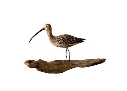 FRENCH SHORE BIRD DECOY