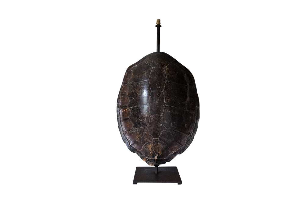Turtle Shell Light LARGE TURTLE SHELL TABLE LAMP-AD & PS ANTIQUES – AD & PS Antiques