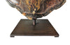 Large Turtleshell Lamp-Animalia-Table Lamp-Lighting-AD & PS Antiques