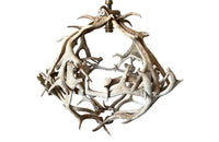 Decorative Antler Chandelier - Taxidermy - French decorative Antiques - Ligting - Hanging Light - Decorative Chandelier - Antler Art - Decorative Lighting - Animal Art - Antique Shops Tetbury  - adpsantiques - AD & PS Antiques