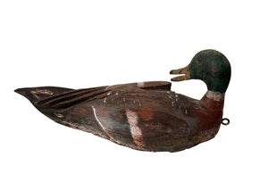 French Duck Decoy From Nantes - Decorative Antiques - French Decorative Antiques - Antique Duck Decoys - Antique collectibles - Wooden Decoys - Ducks - Art Populaire - Folk Art - Antique Shops Tetbury - adpsantiques - AD & PS Antiques